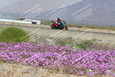 media/Feb-04-2023-SoCal Trackdays (Sat) [[8a776bf2c3]]/Turn 15 Inside Blooming (1050am)/